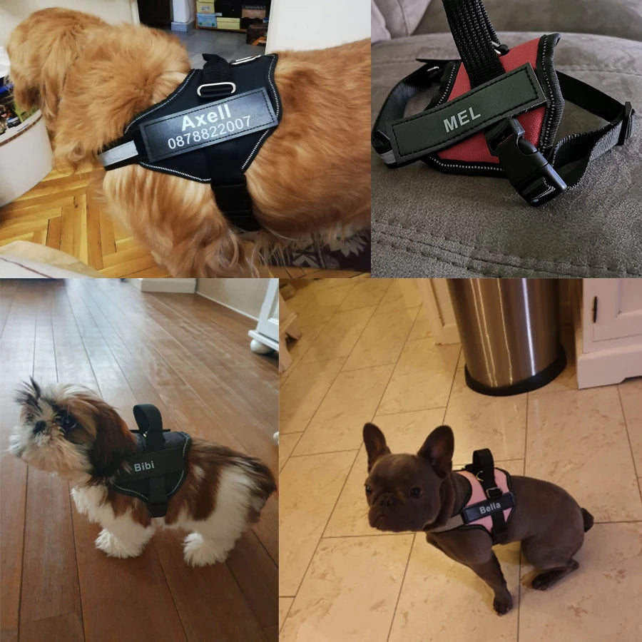 Personalized Pet Harness Collar