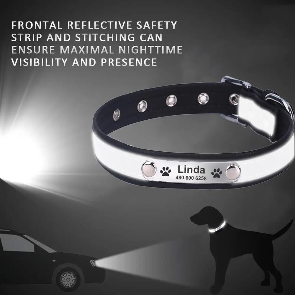 Personalized Dog Collar Leather