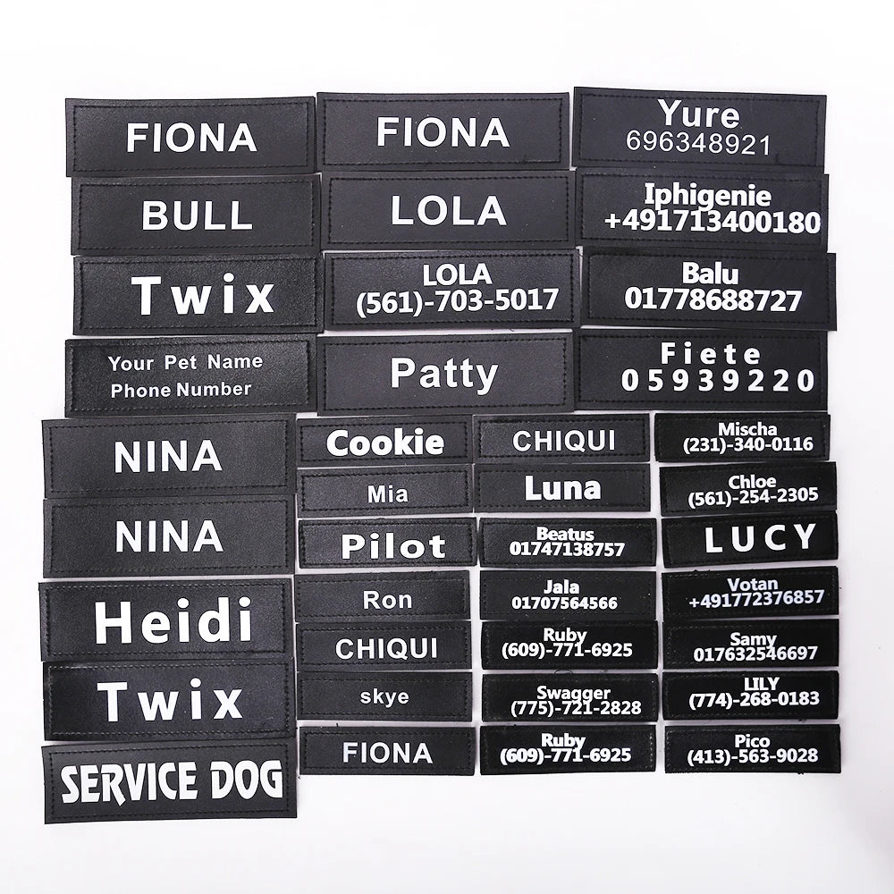 Personalized Pet Harness Collar
