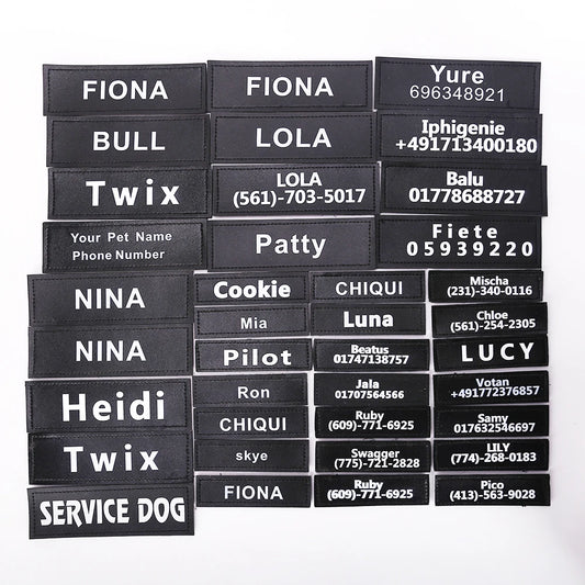 Personalized Pet Harness Collar