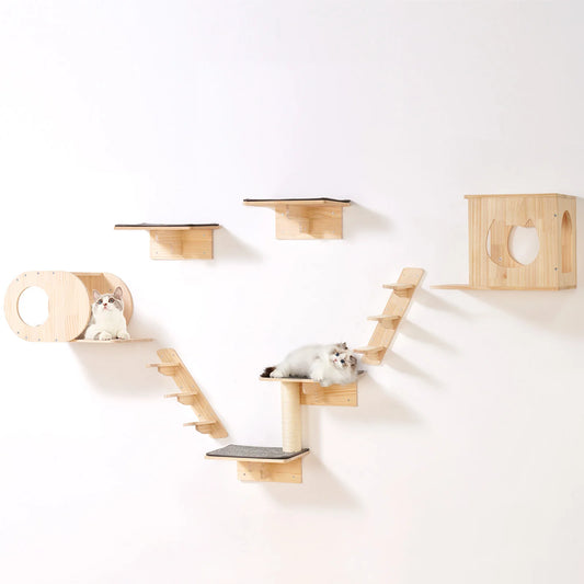 Wall Mounted Cat Shelves