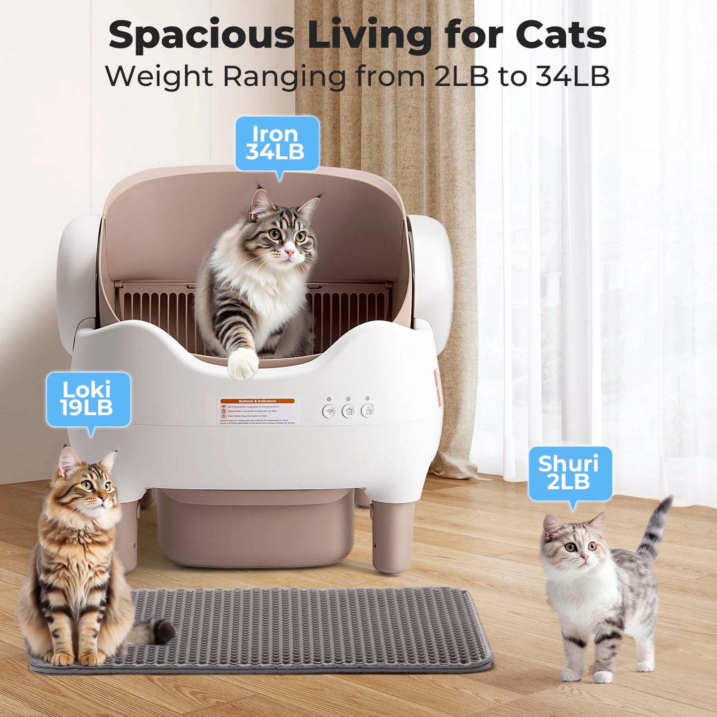 Self Cleaning Litter Box