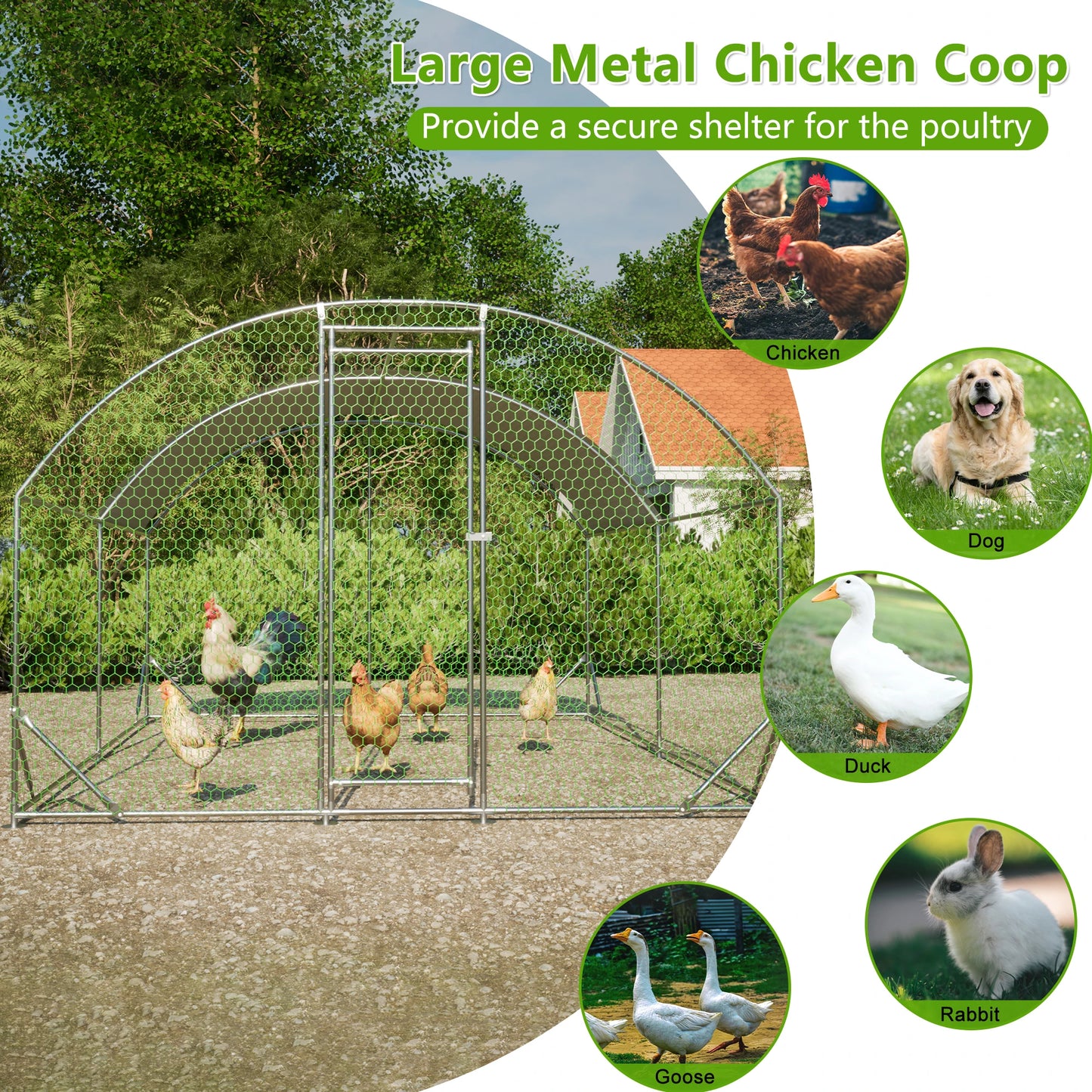 Large Chicken Coop Metal Chicken Run