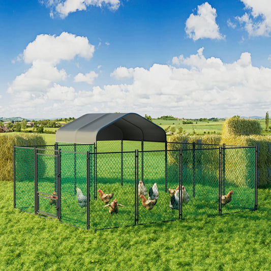 Chicken Coop  Chicken Run
