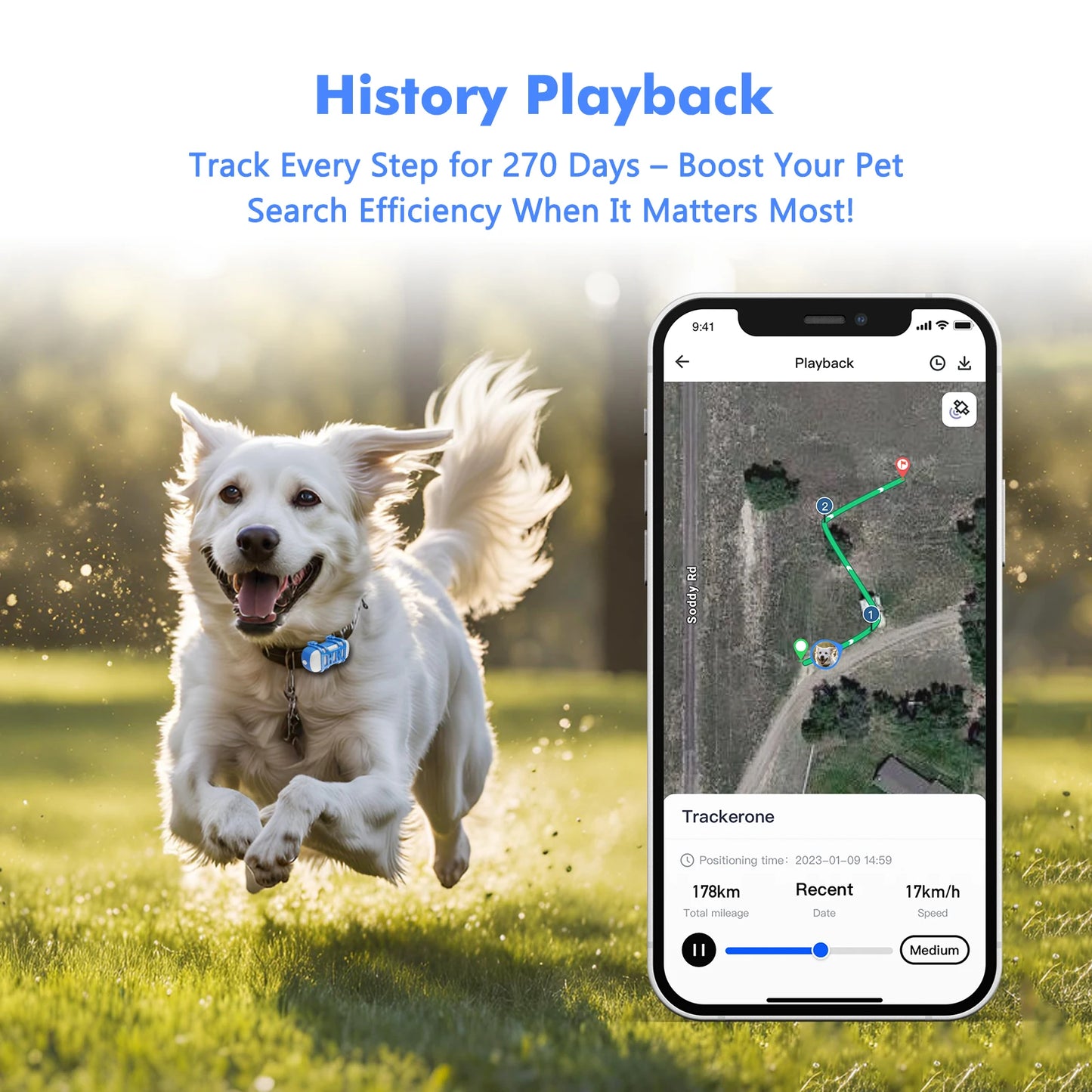 ‌4G Dog Cat GPS Tracker