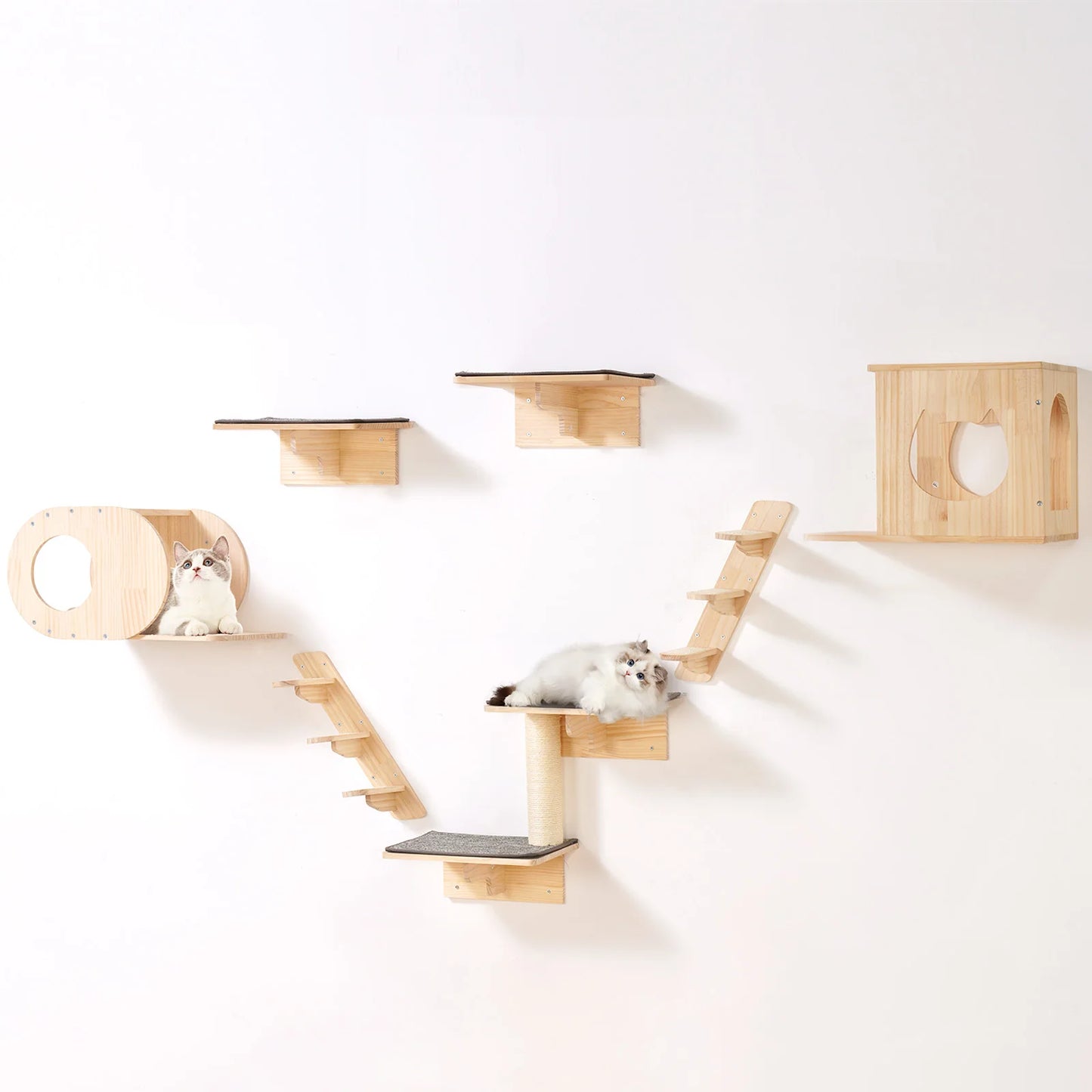 Wall Mounted Cat Shelves