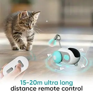 New Eco-Friendly Cat Toy