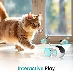 New Eco-Friendly Cat Toy