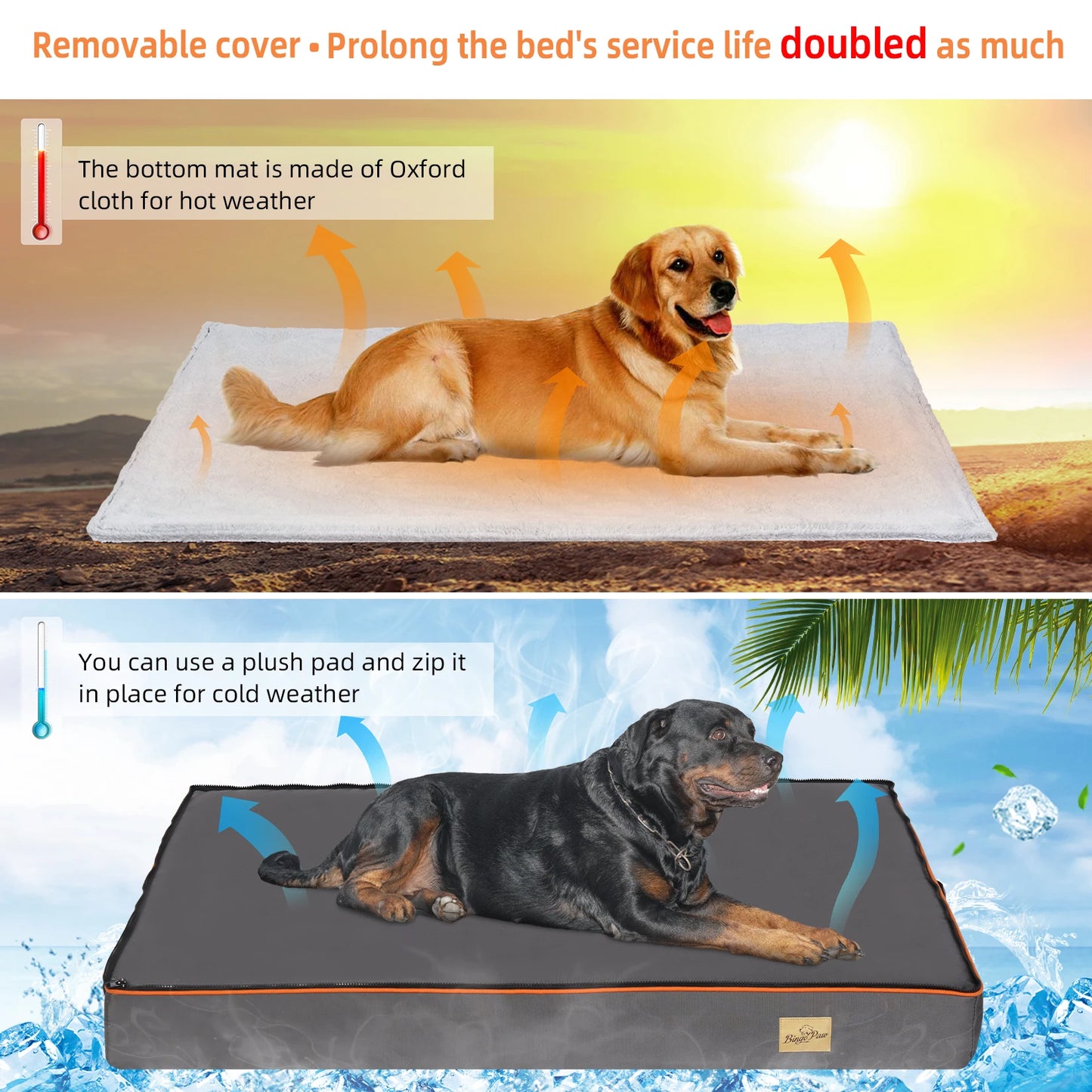 Large Padded Orthopedic Dog Bed