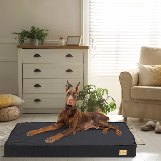 Dog Beds for Large Dogs