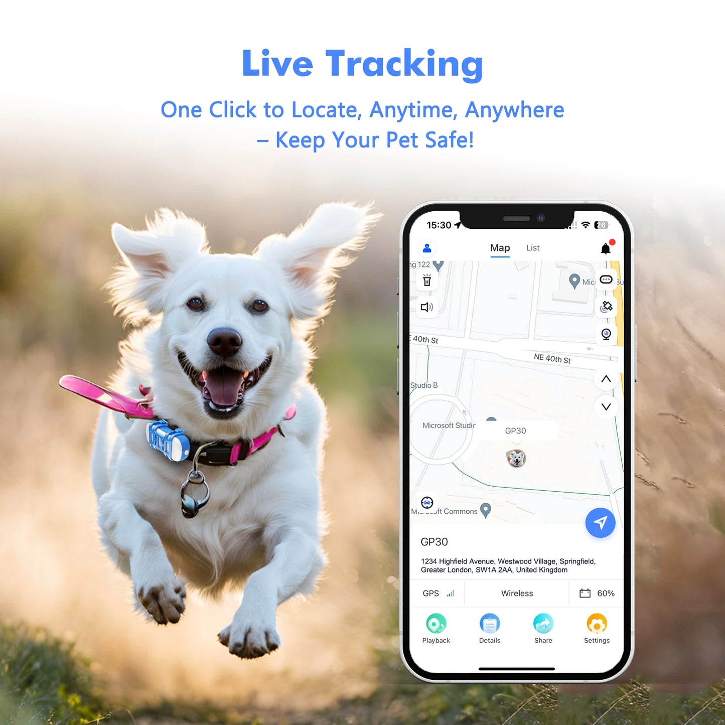 ‌4G Dog Cat GPS Tracker